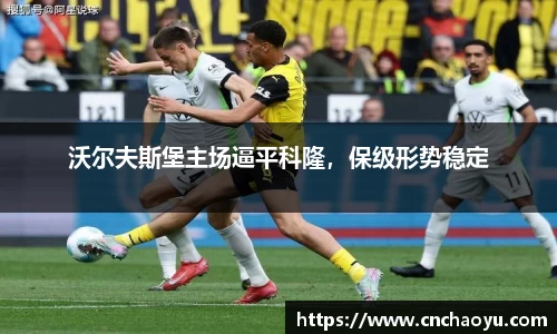 沃尔夫斯堡主场逼平科隆，保级形势稳定