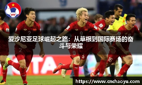爱沙尼亚足球崛起之路：从草根到国际赛场的奋斗与荣耀